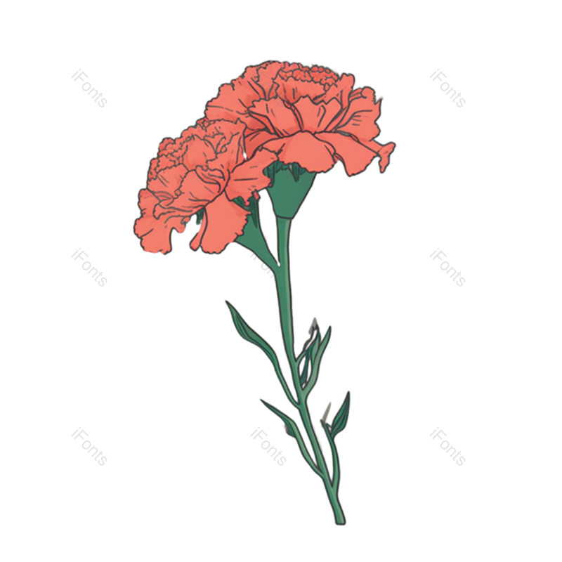 花朵背景图片,花朵素材元素,花朵边框PNG,免抠素材
